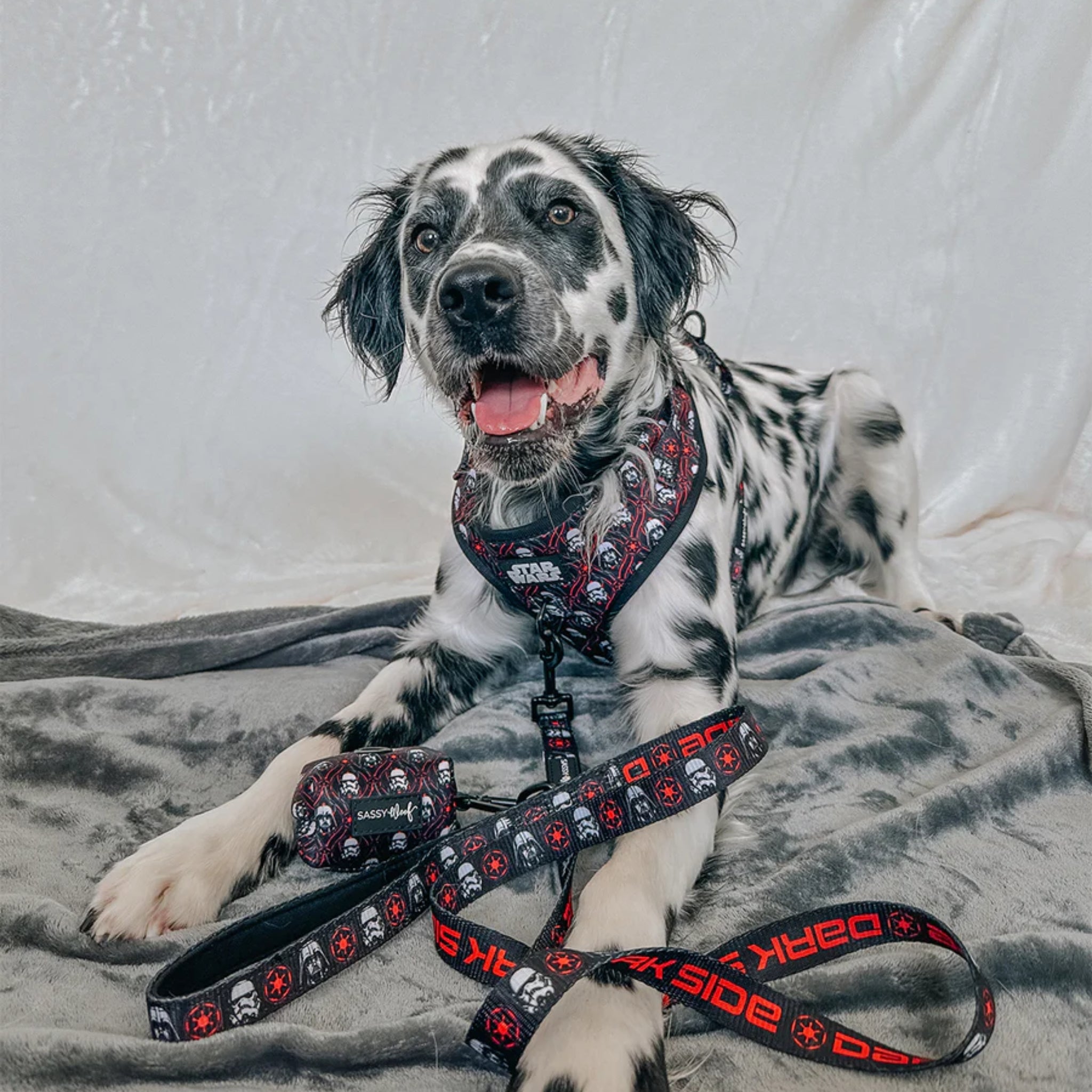 Dog adjustable harness,  STAR WARS™ collection