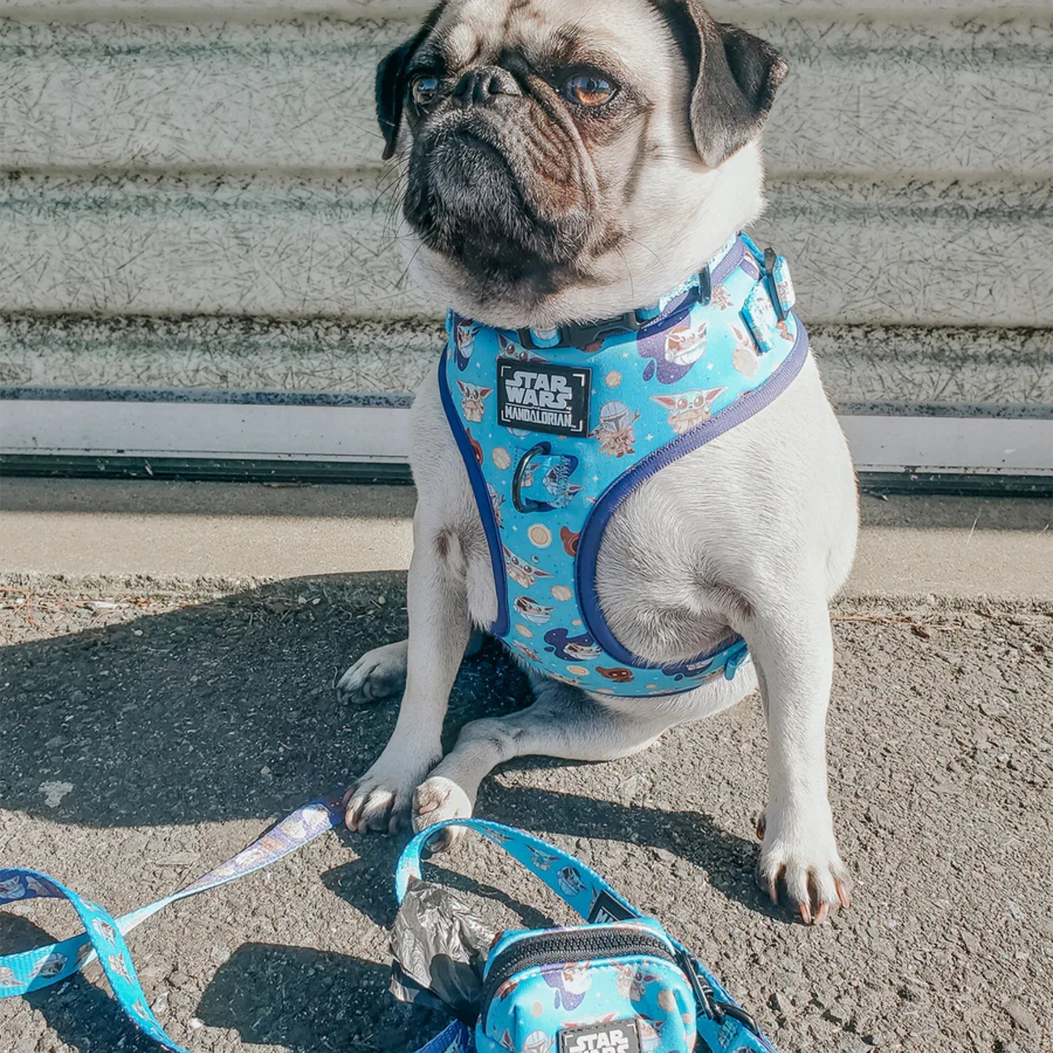 Dog adjustable harness,  STAR WARS™ collection