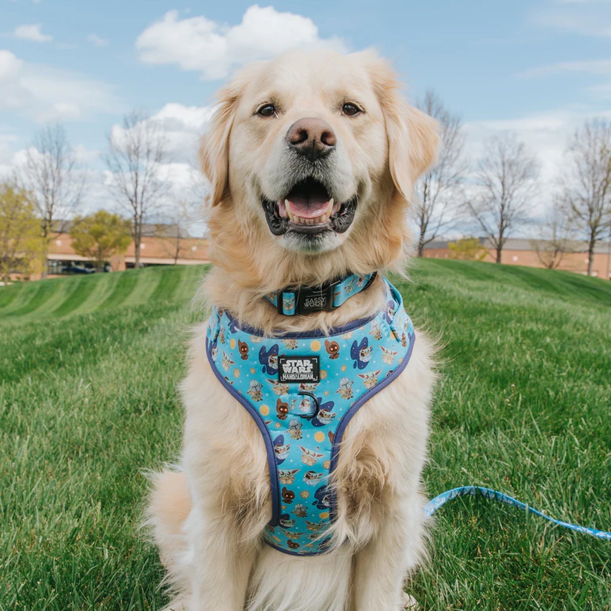 Dog adjustable harness,  STAR WARS™ collection