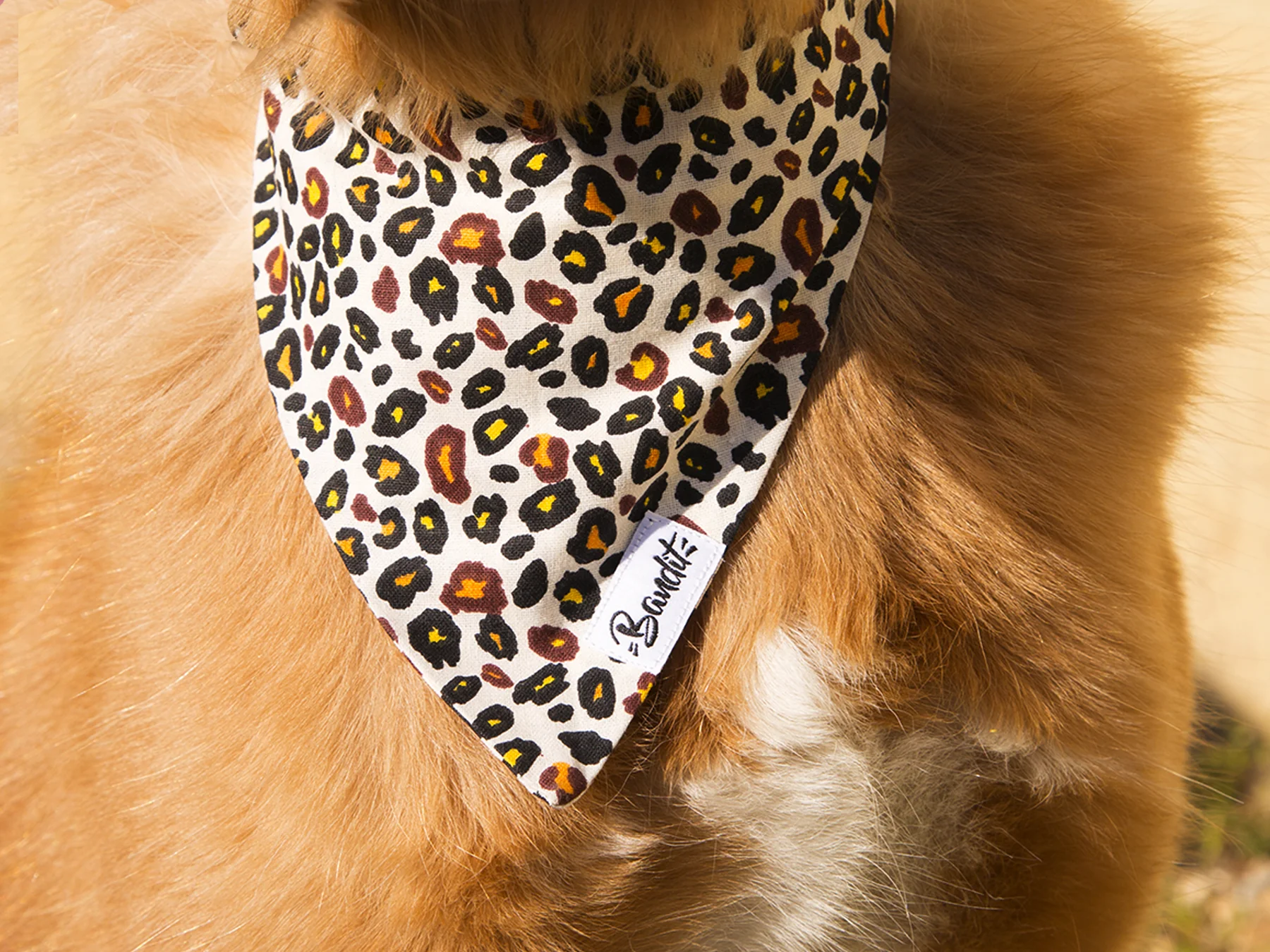 Walk Bundle Wild Wild Woof