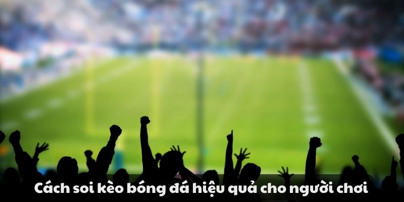 Mẹo đánh rồng hổ - Hướng dẫn từ A đến Z để thành công 10 Hướng dẫn cách soi kèo bóng đá hiệu quả cho người mới