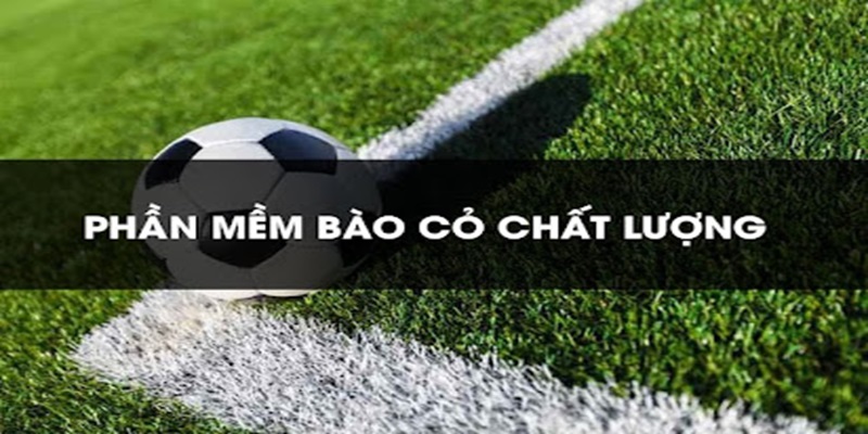 Mẹo đánh rồng hổ - Hướng dẫn từ A đến Z để thành công 11 Những phần mềm bào cỏ được sử dụng nhiều nhất 2024